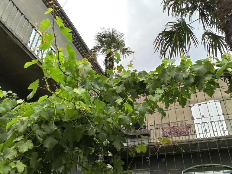 La Maison Jaffran, Suite En Ville 普里瓦 外观 照片