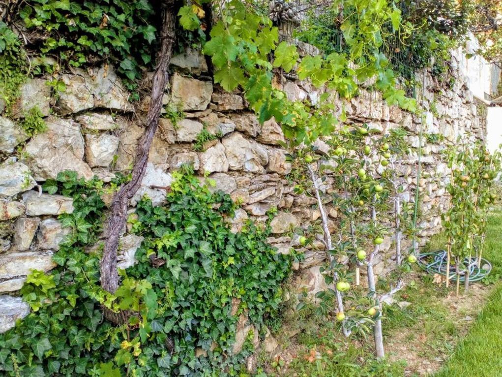 La Maison Jaffran, Suite En Ville 普里瓦 外观 照片